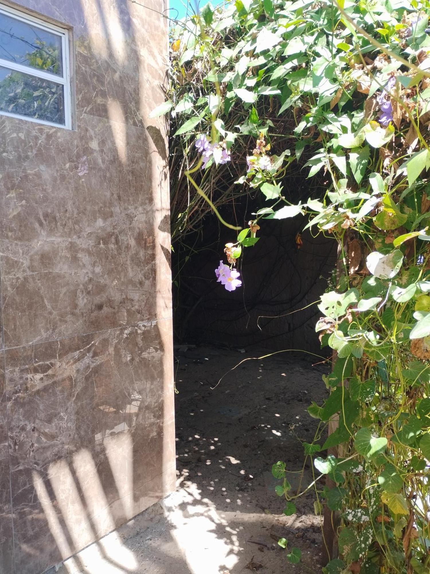Seomarujo Rent A Room Morro Branco Beberibe Eksteriør billede
